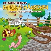 Die kleine Schnecke Monika Häuschen 68: Warum blinzeln Blindschleichen?