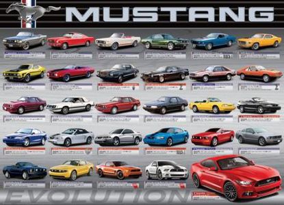 Eurographics Puzzel Ford Mustang Evolution 1000 stukjes