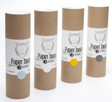 Paper Bear Folding Kit - Sky Blue 