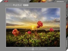 Cloudberries Puzzle 1000 Teile