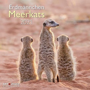 Meerkats - Stokstaartjes Kalender 2021