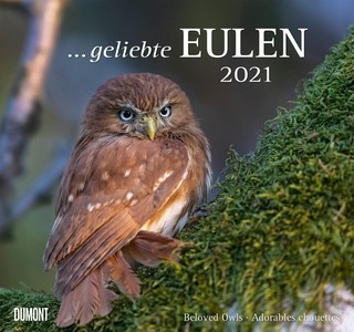 Geliebte Eulen - Uilen - Owls Kalender 2021