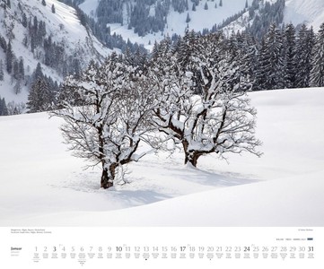 Bäume - Bomen - Trees Kalender 2021