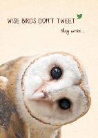 Weisheits-Postkarte Wise birds dont tweet, they write