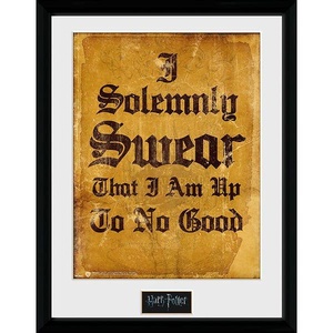 HARRY POTTER - Framed print "I Solemnly Swear" x2