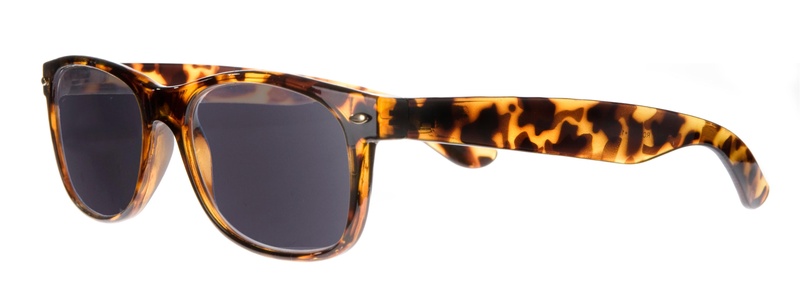 Icon Eyewear RBD013 WayeFarer Zonneleesbril +1.00 - Tortoise - UV400