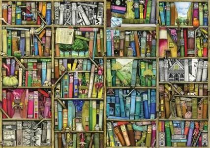 Puzzel Hout Colin Thompson - Bookshelf  40 stukjes