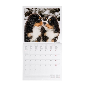 Legami Puppies Kalender 2024