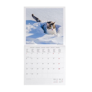 Legami Kalender Cats 2024