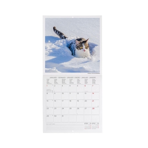 Legami Cats Kalender 2024