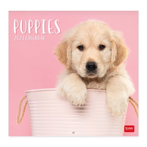 Legami Sweet Puppies Kalender 2023
