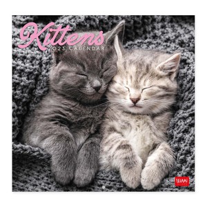 Legami Sweet Kittens Kalender 2023