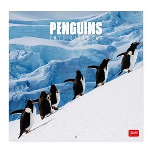 Legami Penguins Kalender 2023