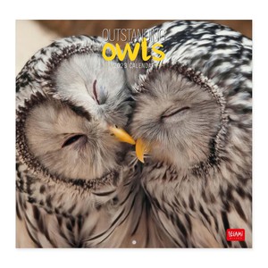 Legami Owls Kalender 2023