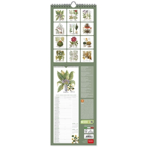 Uncoated Paper Herbarium Wall Calendar 2023