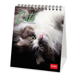 Cats Desk Calendar 2023