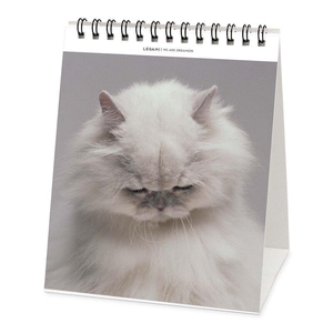 Cats Desk Calendar 2023