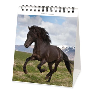 Horses Desk Calendar 2023