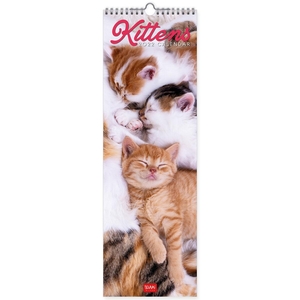 Legami Kittens Kalender 2022