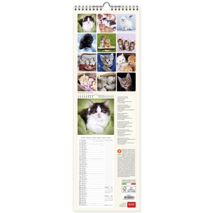 Legami Kittens Kalender 2022