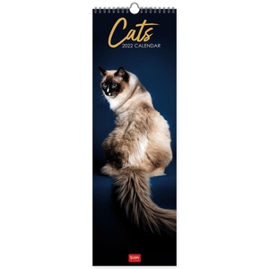 Cats - Katten Kalender 2022