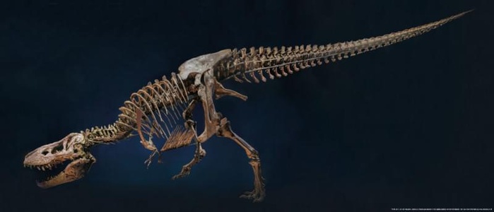 Bekking & Blitz Poster 'Trix' T-Rex Naturalis