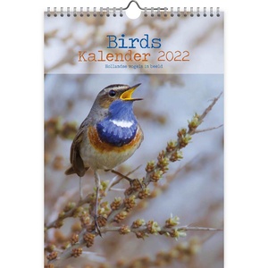 Birds Kalender 2022