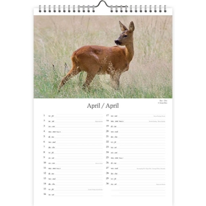 Dutch Wildlife Kalender 2022