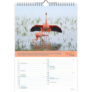 Birds Kalender 2023