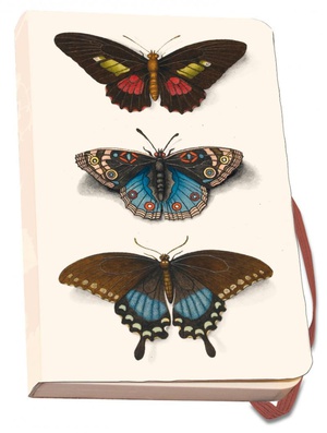 Bekking & Blitz A6 Notitieboek Fitzwilliam Museum - Butterflies