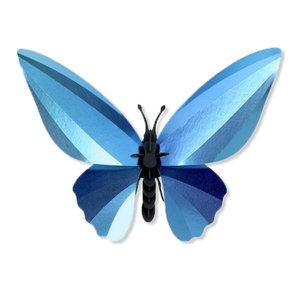 Birdwing vlinder azuurblauw Assembli