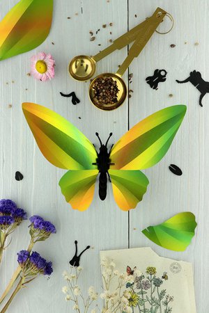 Birdwing vlinder Mango groen Assembli