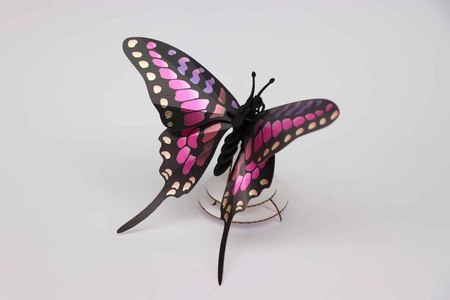 Swordtail Vlinder Metallic Roze Assembli