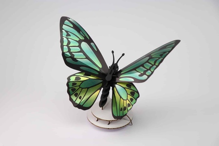 Birdwing Vlinder Metallic Groen Assembli