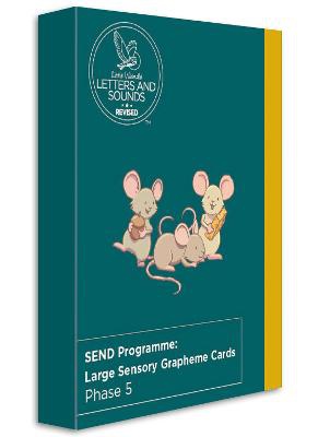 Send Programme: Large Sensory Grapheme Cards