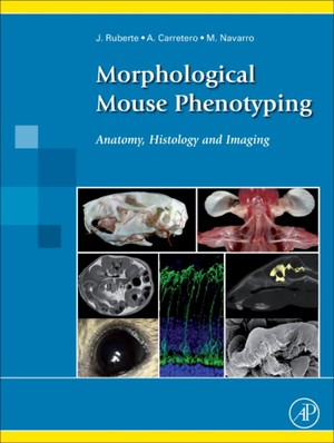 MORPHOLOGICAL MOUSE PHENOTYPIN