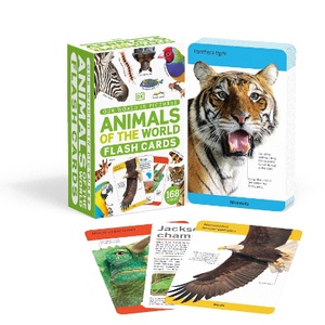 Our World in Pictures Animals of the World Flash Cards