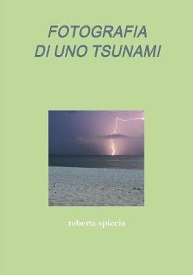 Fotografia Di Uno Tsunami