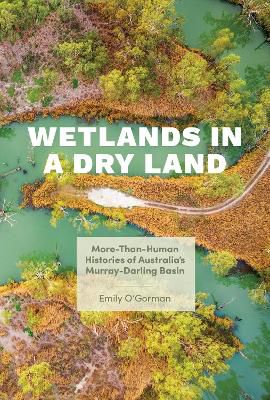 Wetlands In A Dry Land