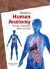 Mosby's Human Anatomy. DVD