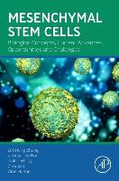 Mesenchymal Stem Cells