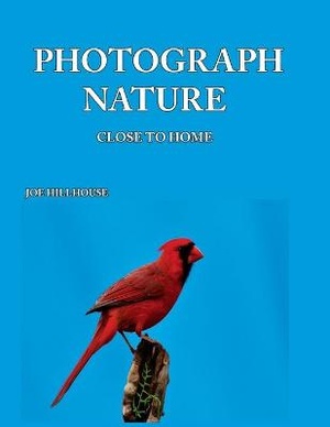 Photograph Nature