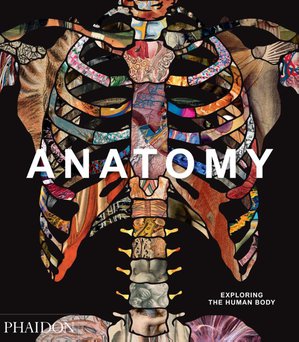 Anatomy: Exploring