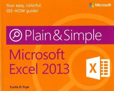 MS EXCEL 2013 PLAIN & SIMPLE