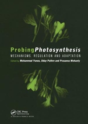 Probing Photosynthesis