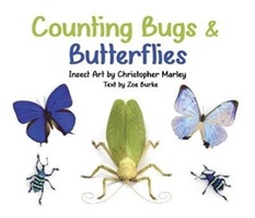 Counting Bugs & Butterflies Insect Art by Christopher Marley Board Book