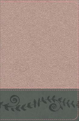 KJV Study Bible for Girls Pink Pearl/Gray, Vine Design Leath