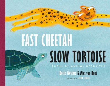 Fast Cheetah, Slow Tortoise