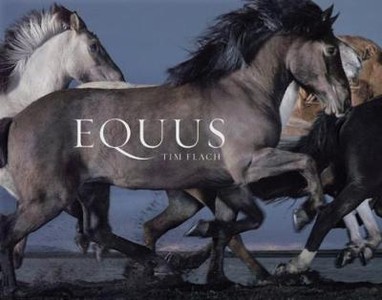 Flach, T: Equus