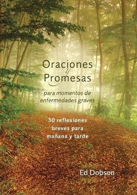 Oraciones y promesas Softcover Prayers and Promises When Facing a Life-Threatening Illness